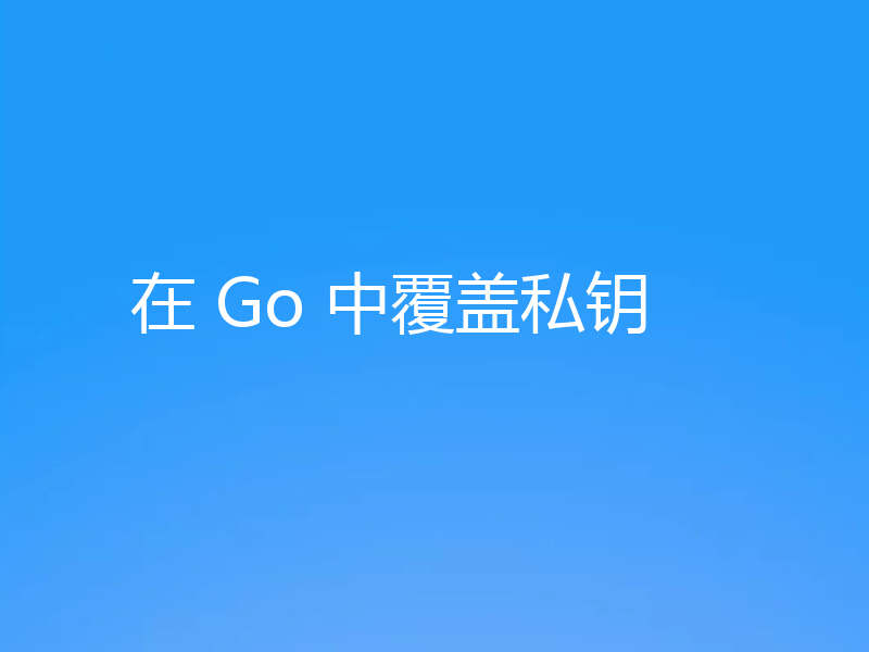 在 Go 中覆盖私钥