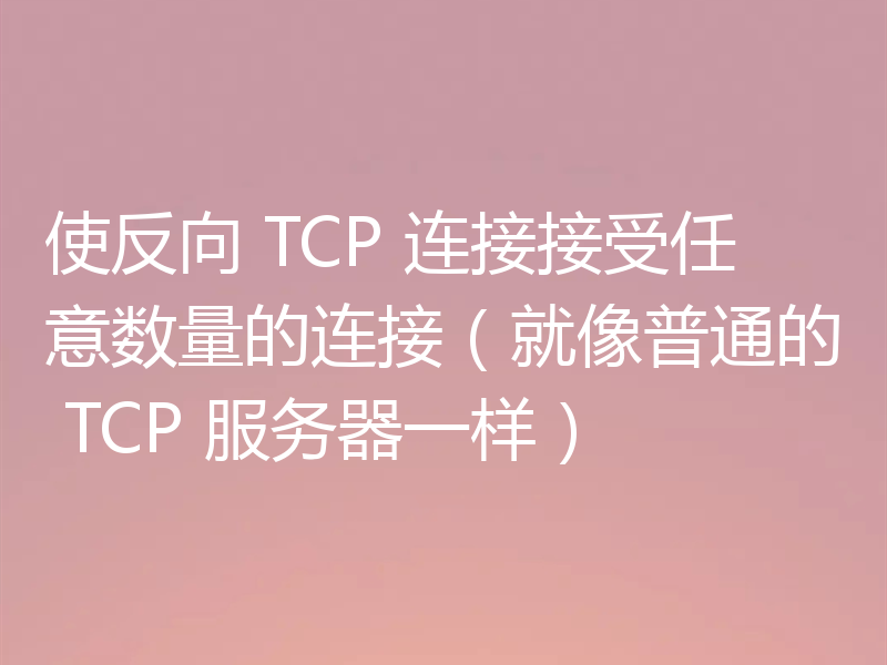 使反向 TCP 连接接受任意数量的连接（就像普通的 TCP 服务器一样）