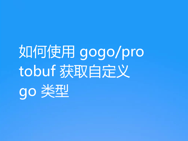 如何使用 gogo/protobuf 获取自定义 go 类型