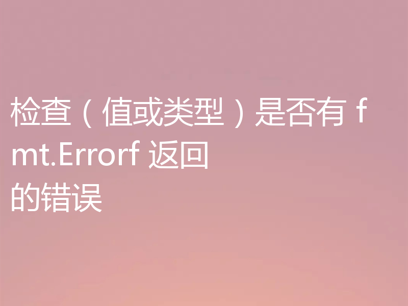 检查（值或类型）是否有 fmt.Errorf 返回的错误