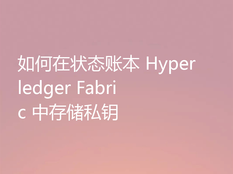 如何在状态账本 Hyperledger Fabric 中存储私钥