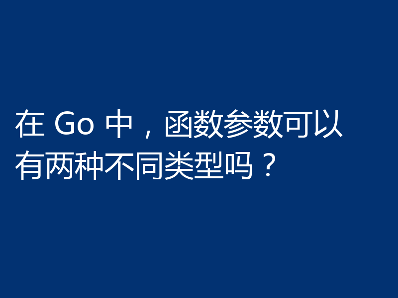 在 Go 中，函数参数可以有两种不同类型吗？