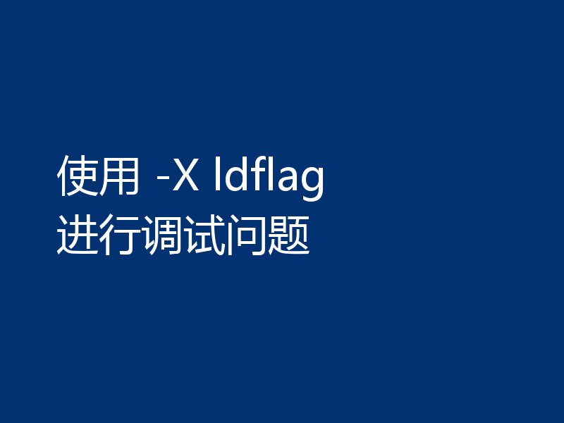 使用 -X ldflag 进行调试问题