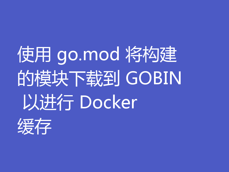 使用 go.mod 将构建的模块下载到 GOBIN 以进行 Docker 缓存