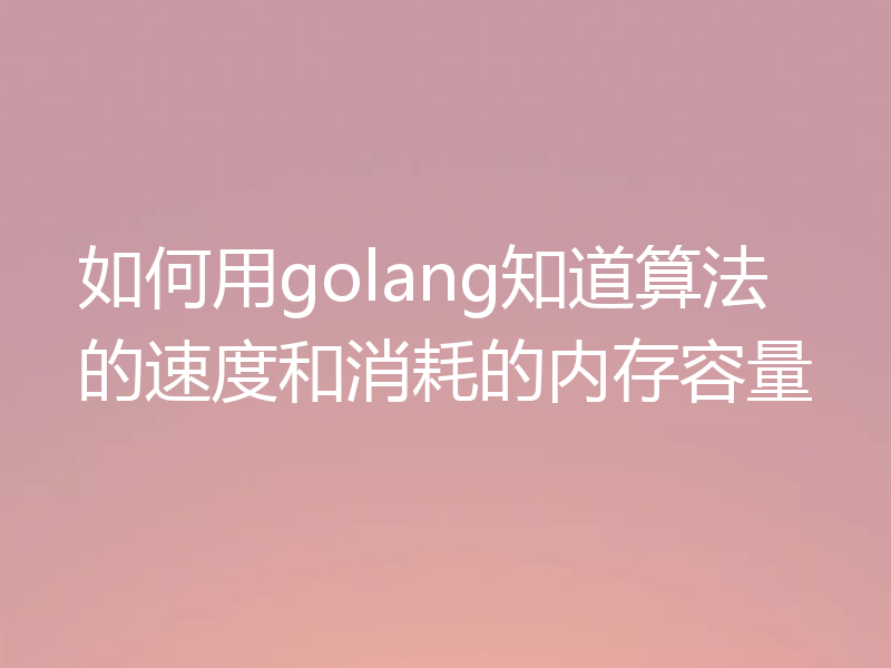 如何用golang知道算法的速度和消耗的内存容量