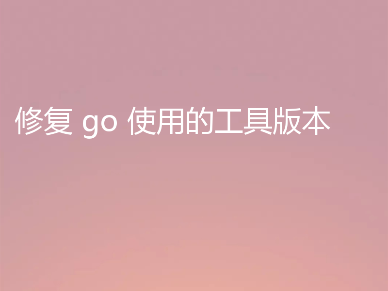 修复 go 使用的工具版本