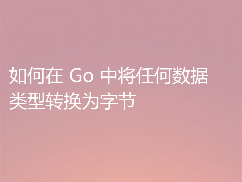 如何在 Go 中将任何数据类型转换为字节