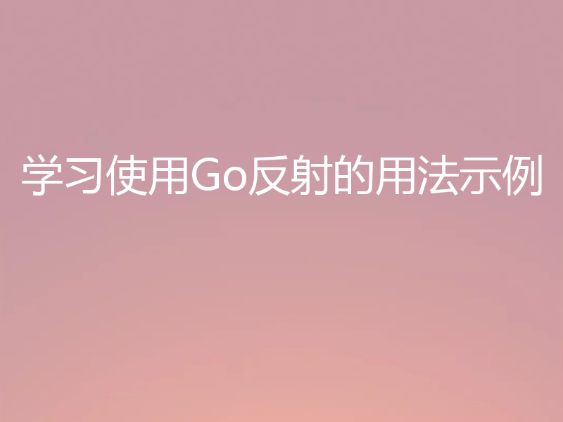 学习使用Go反射的用法示例