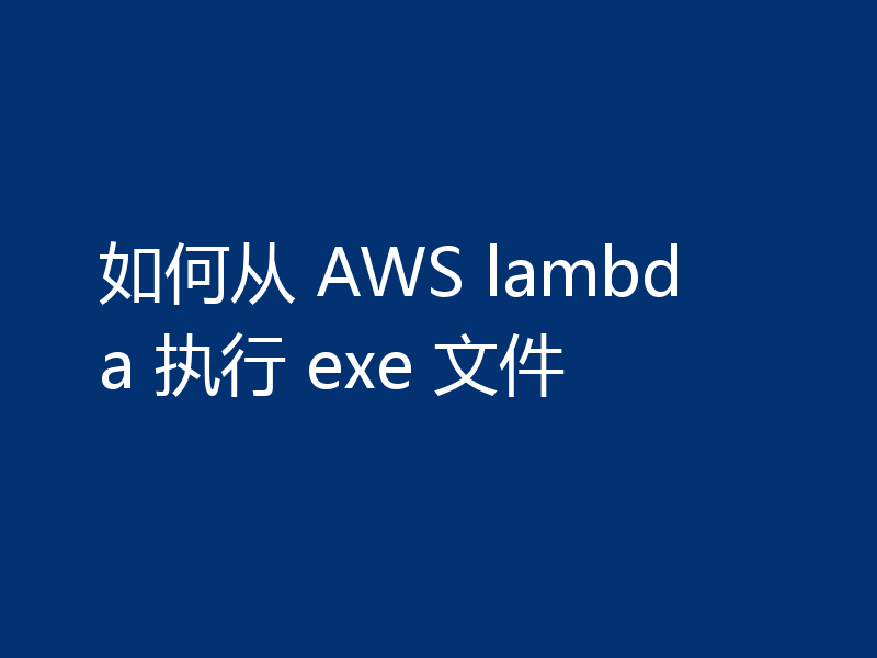如何从 AWS lambda 执行 exe 文件