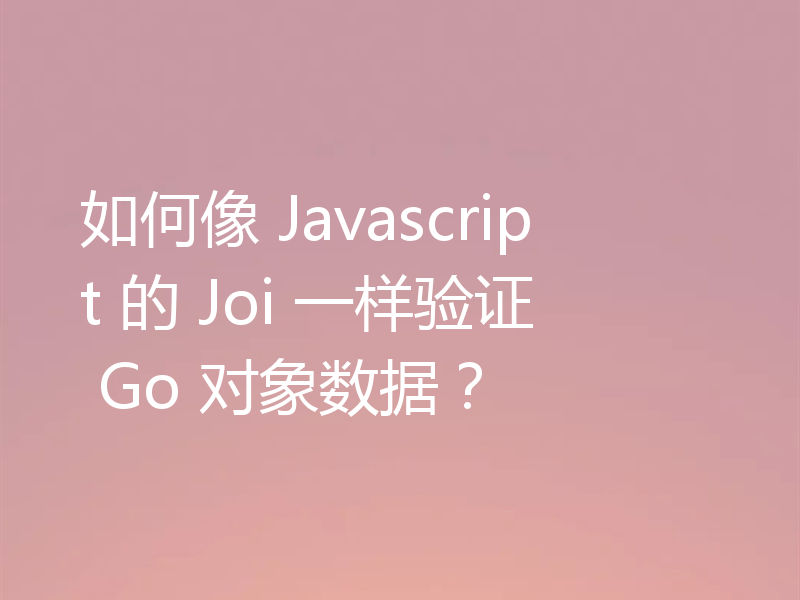 如何像 Javascript 的 Joi 一样验证 Go 对象数据？