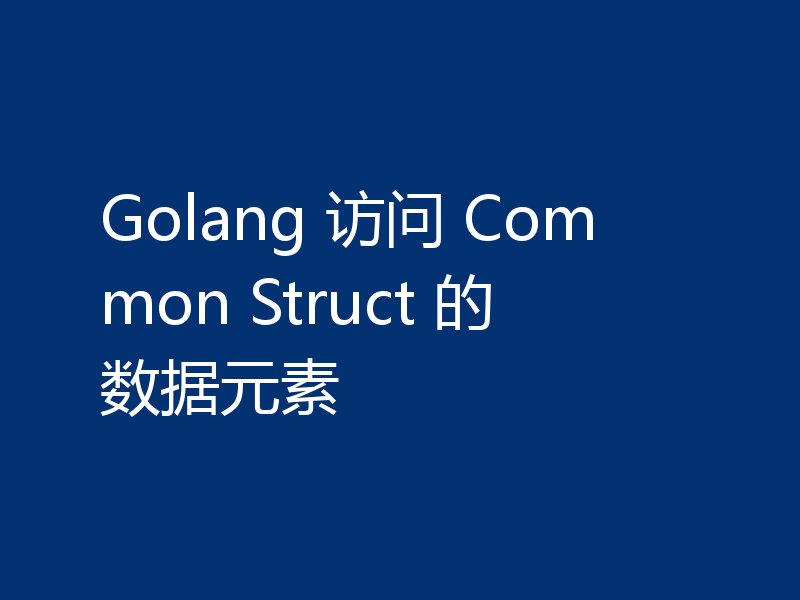 Golang 访问 Common Struct 的数据元素