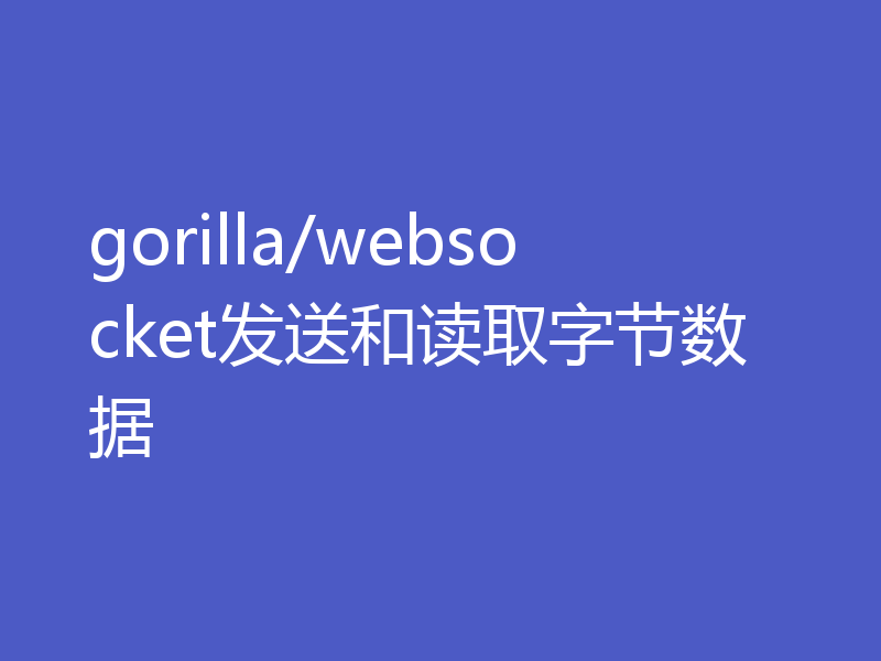gorilla/websocket发送和读取字节数据