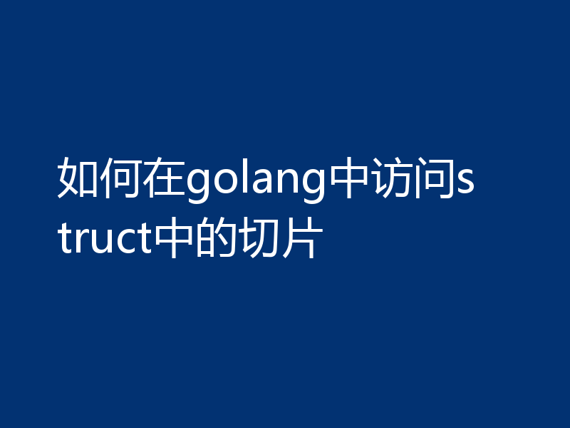 如何在golang中访问struct中的切片
