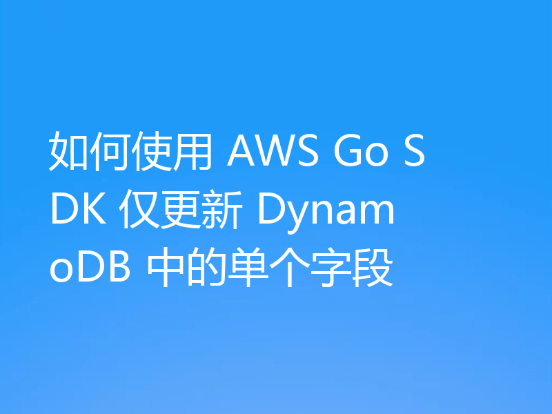 如何使用 AWS Go SDK 仅更新 DynamoDB 中的单个字段
