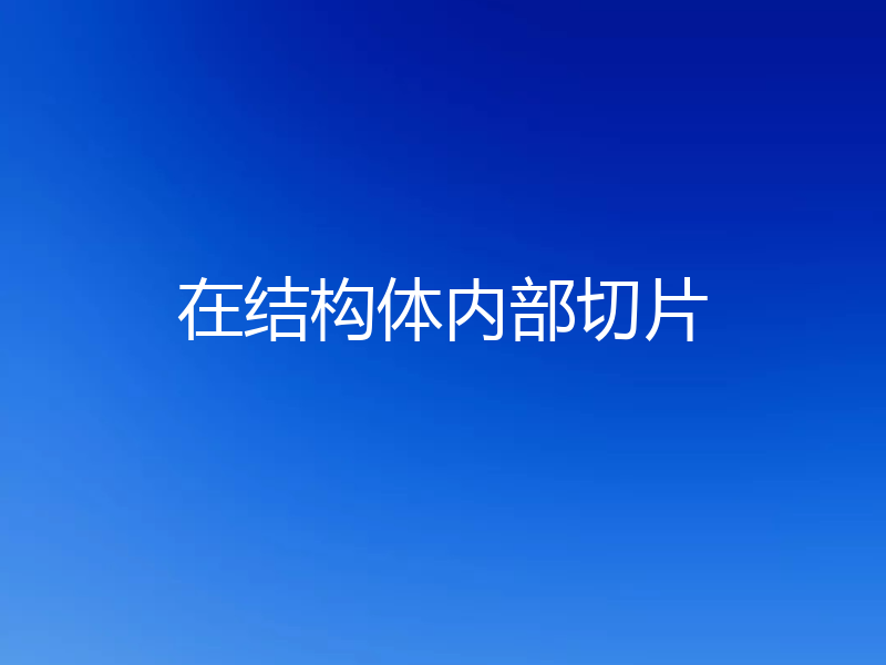在结构体内部切片