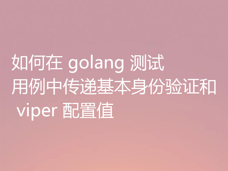 如何在 golang 测试用例中传递基本身份验证和 viper 配置值