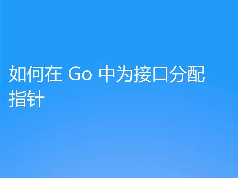 如何在 Go 中为接口分配指针