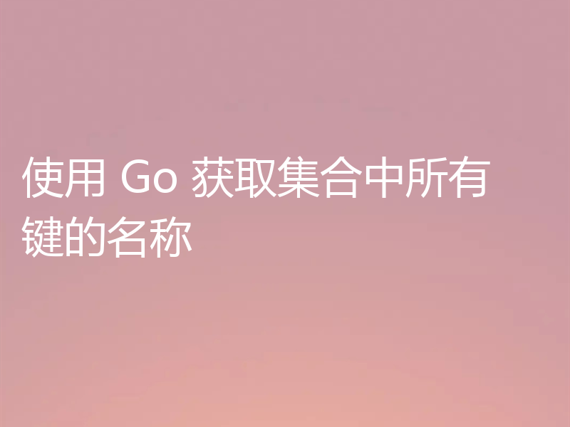 使用 Go 获取集合中所有键的名称