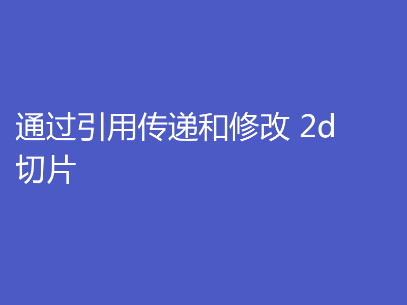 通过引用传递和修改 2d 切片
