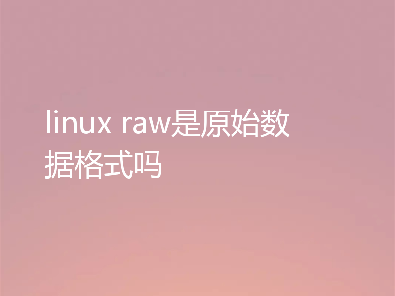 linux raw是原始数据格式吗