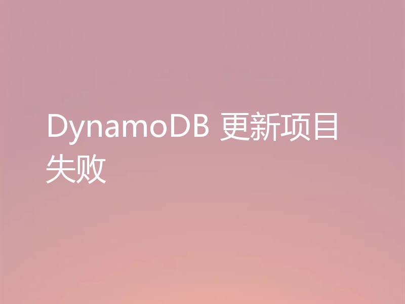 DynamoDB 更新项目失败