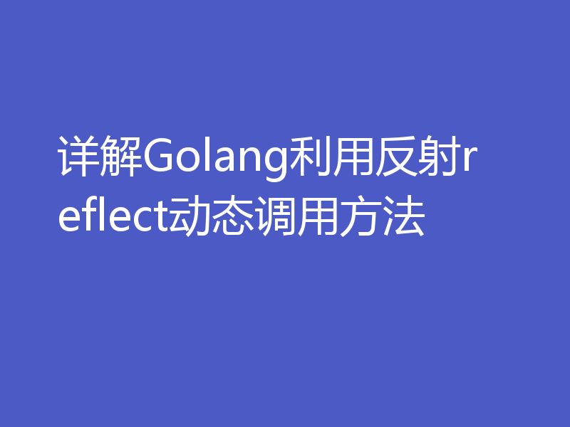 详解Golang利用反射reflect动态调用方法