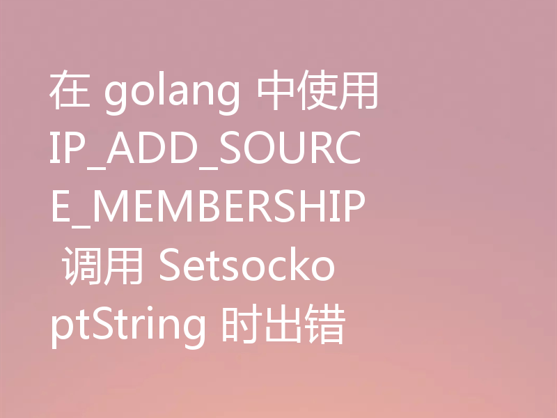 在 golang 中使用 IP_ADD_SOURCE_MEMBERSHIP 调用 SetsockoptString 时出错