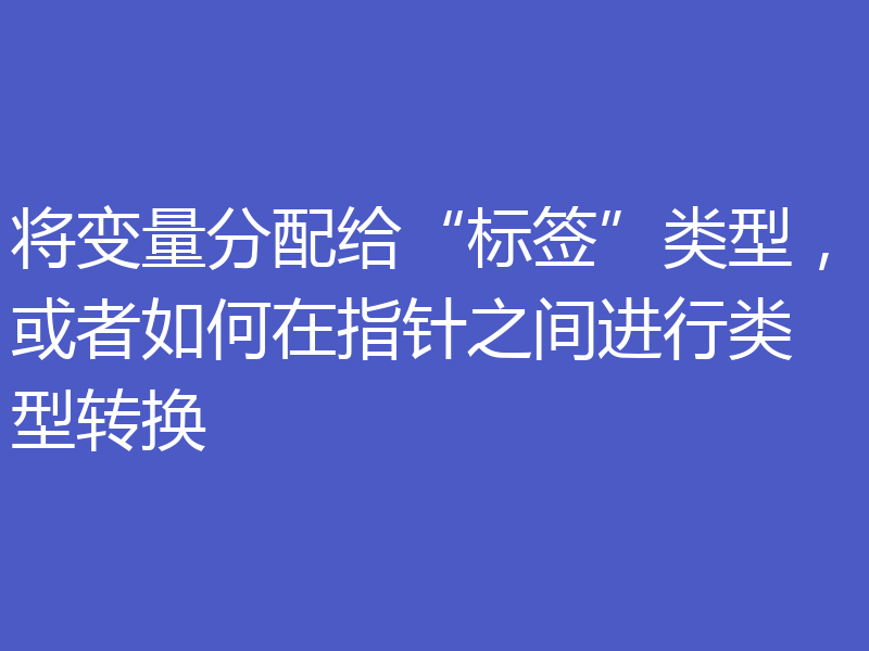 将变量分配给“标签”类型，或者如何在指针之间进行类型转换