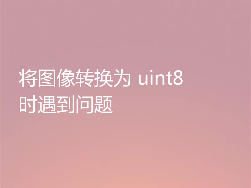 将图像转换为 uint8 时遇到问题