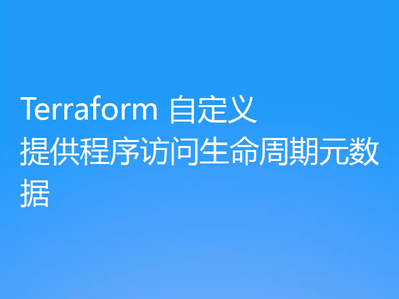 Terraform 自定义提供程序访问生命周期元数据