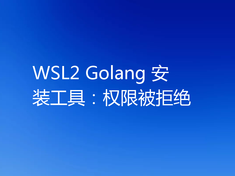 WSL2 Golang 安装工具：权限被拒绝