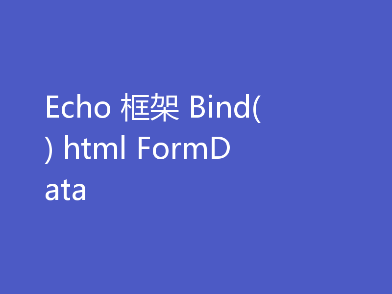 Echo 框架 Bind() html FormData
