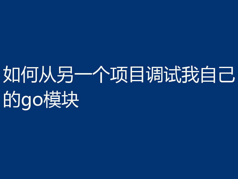 如何从另一个项目调试我自己的go模块