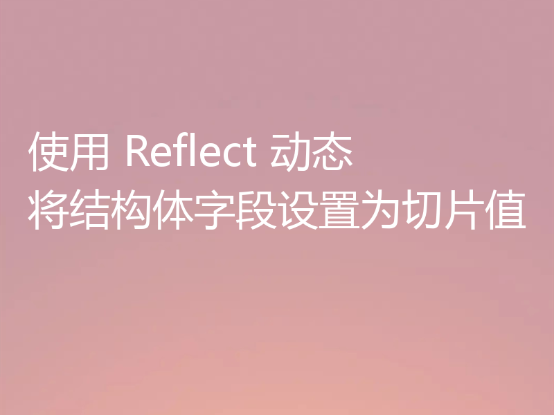 使用 Reflect 动态将结构体字段设置为切片值