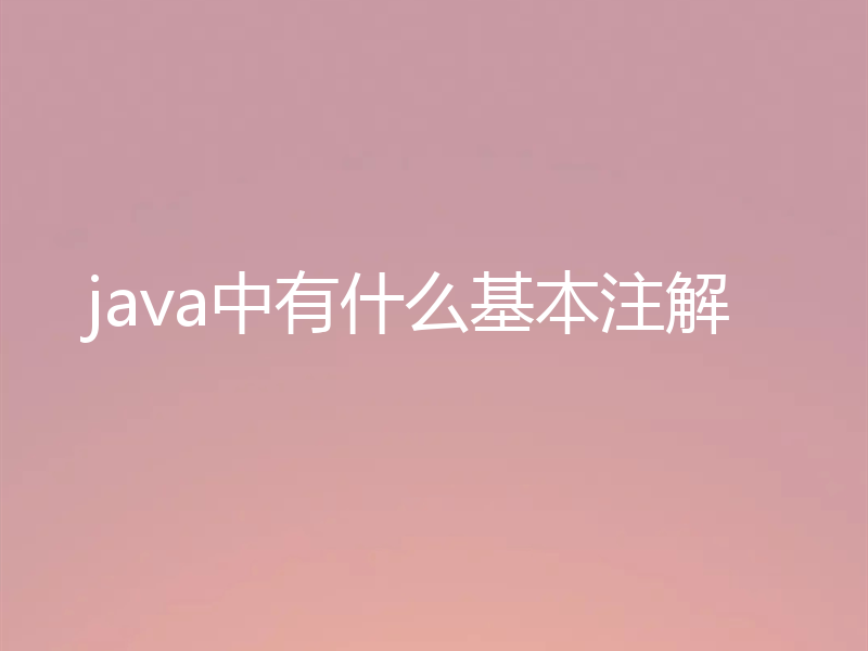 java中有什么基本注解