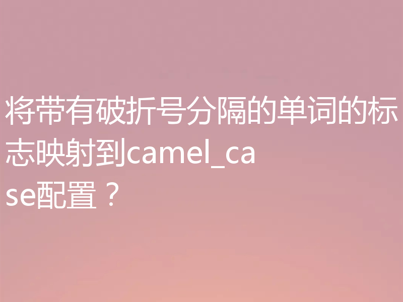 将带有破折号分隔的单词的标志映射到camel_case配置？