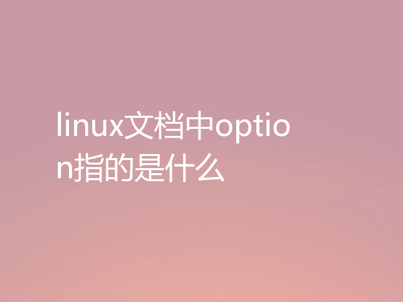 linux文档中option指的是什么