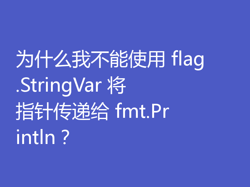 为什么我不能使用 flag.StringVar 将指针传递给 fmt.Println？
