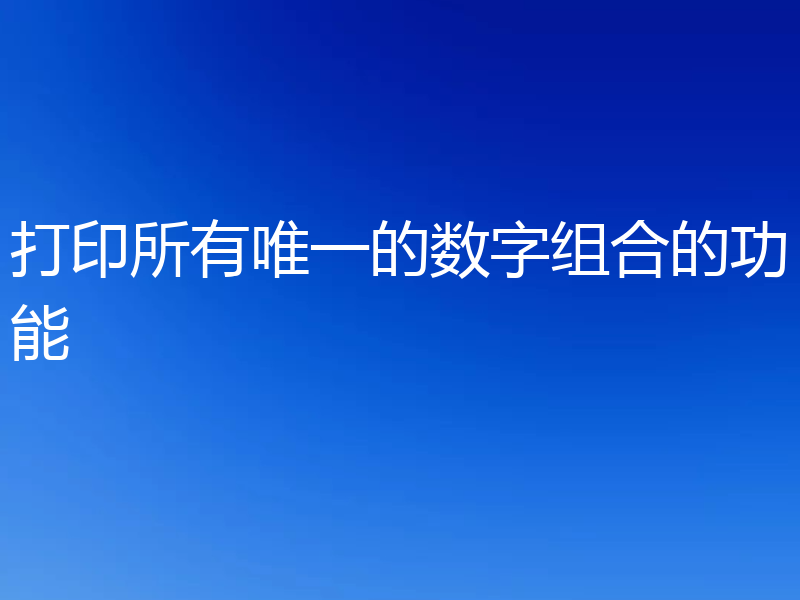 打印所有唯一的数字组合的功能