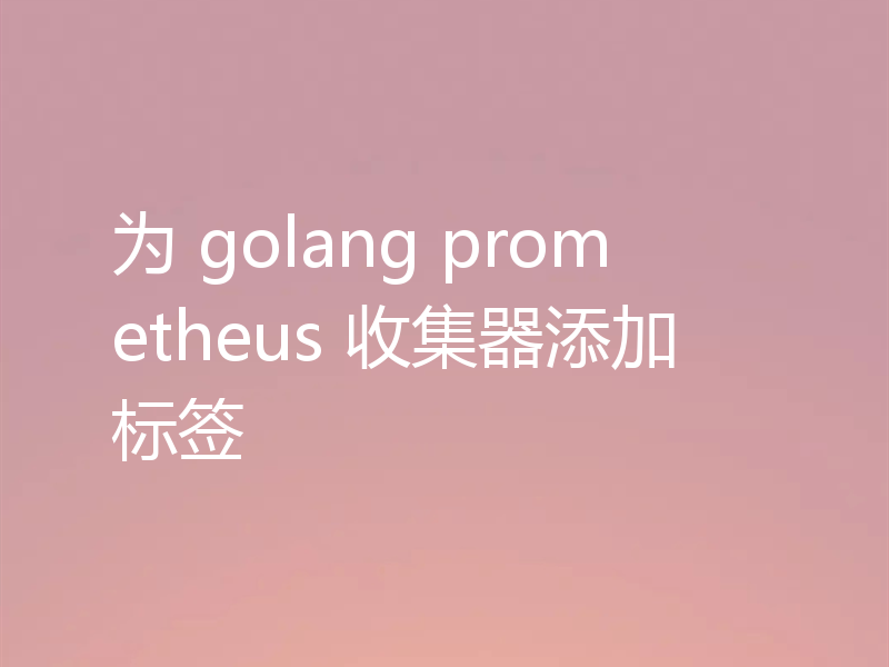 为 golang prometheus 收集器添加标签
