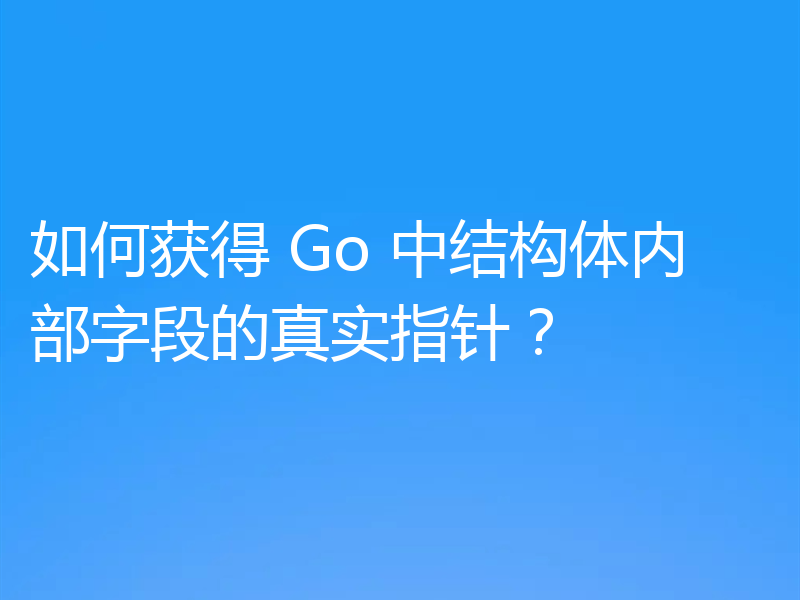 如何获得 Go 中结构体内部字段的真实指针？