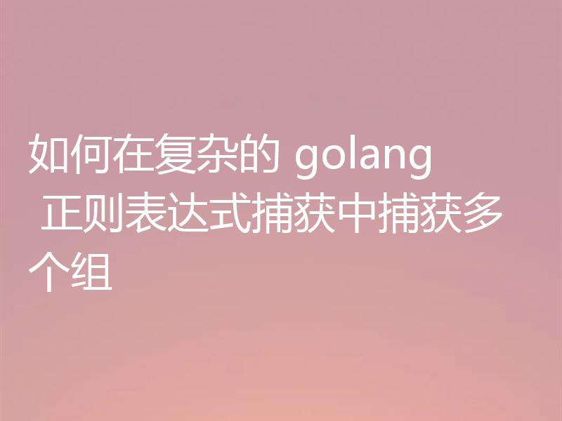 如何在复杂的 golang 正则表达式捕获中捕获多个组