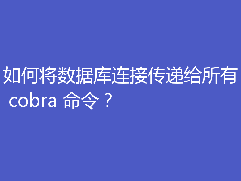 如何将数据库连接传递给所有 cobra 命令？