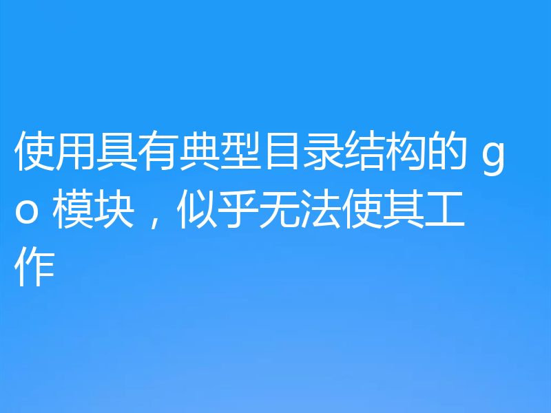 使用具有典型目录结构的 go 模块，似乎无法使其工作