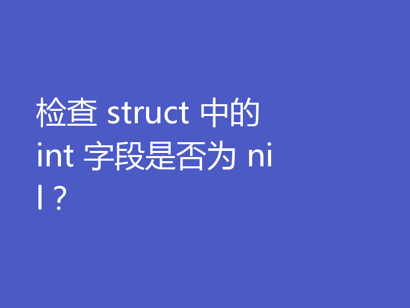 检查 struct 中的 int 字段是否为 nil？