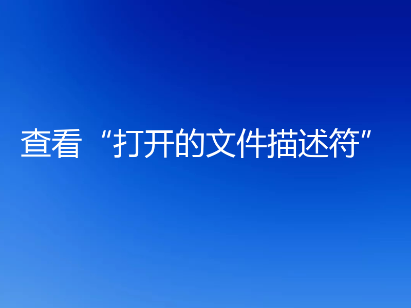 查看“打开的文件描述符”