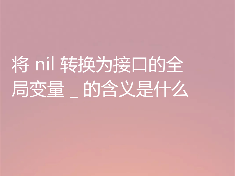 将 nil 转换为接口的全局变量 _ 的含义是什么