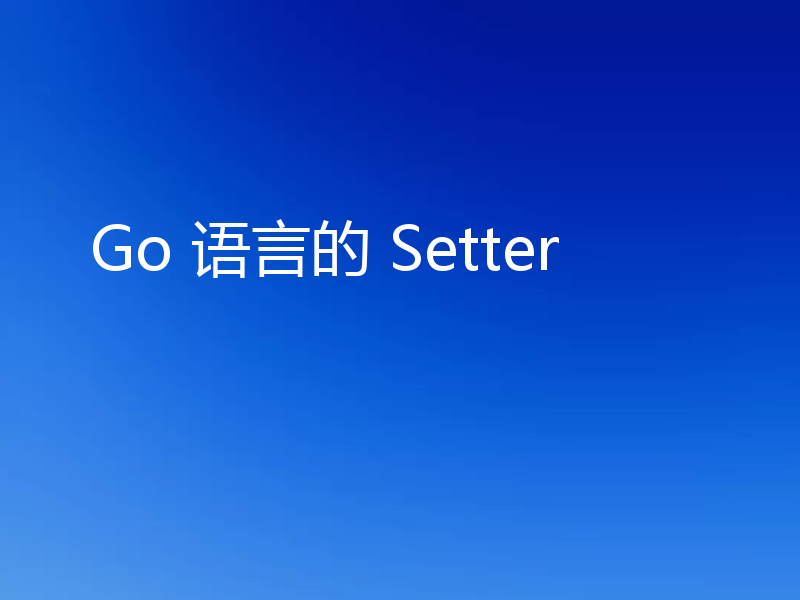 Go 语言的 Setter