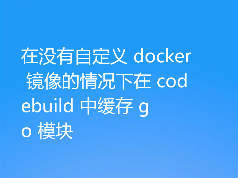 在没有自定义 docker 镜像的情况下在 codebuild 中缓存 go 模块
