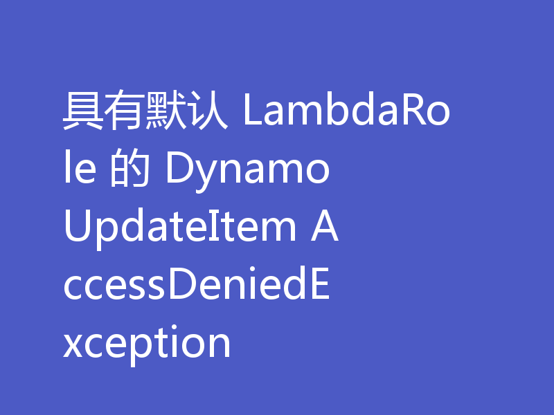 具有默认 LambdaRole 的 Dynamo UpdateItem AccessDeniedException